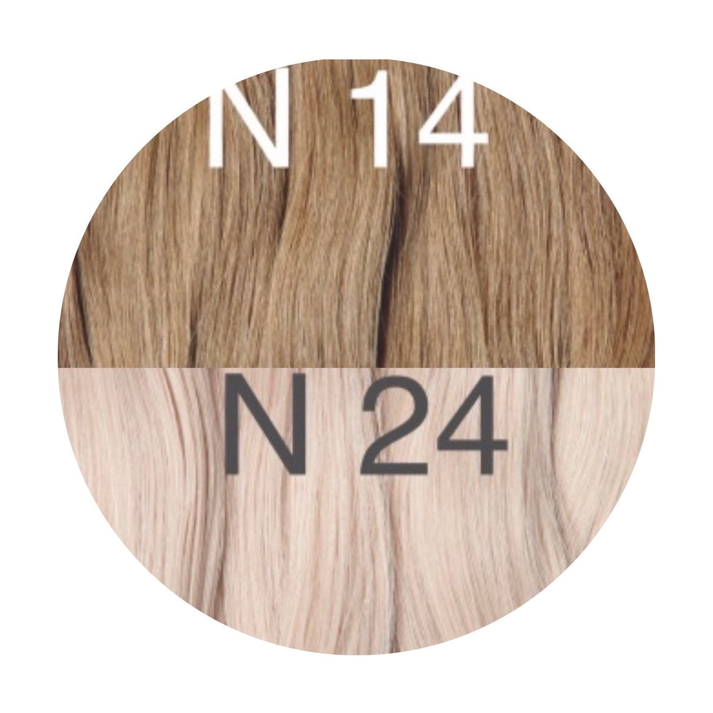 Hair Clips Color _14/24 GVA hair_One donor line.