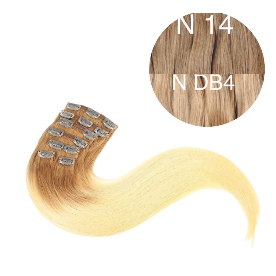 Hair Clips Color _14/DB4 GVA hair_One donor line.