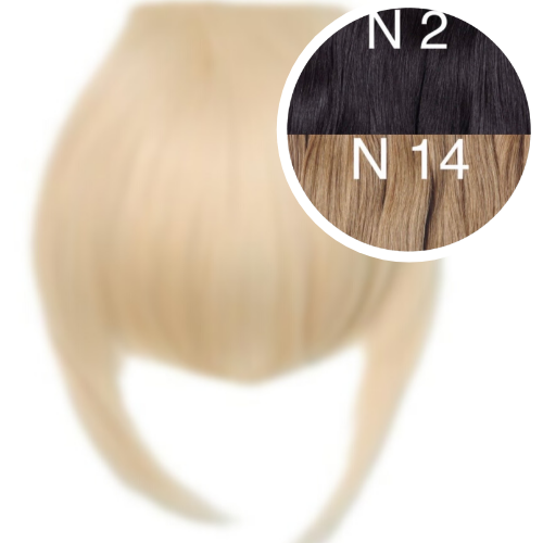 Bangs Color _2/14 GVA hair_One donor line.