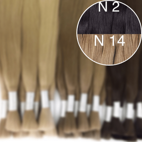 Raw Cut / Bulk Hair Color _2/14 GVA hair_One donor line.