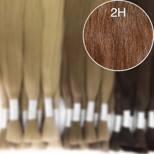 Raw Cut / Bulk Hair Color 2H GVA hair_Luxury line.