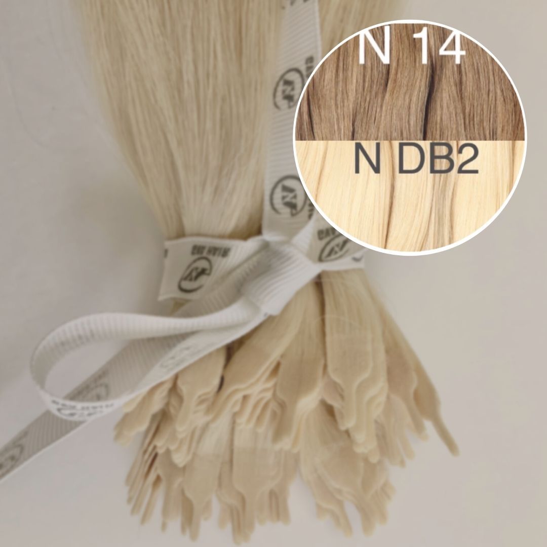 Y tips Color _14/DB2 GVA hair_One donor line.