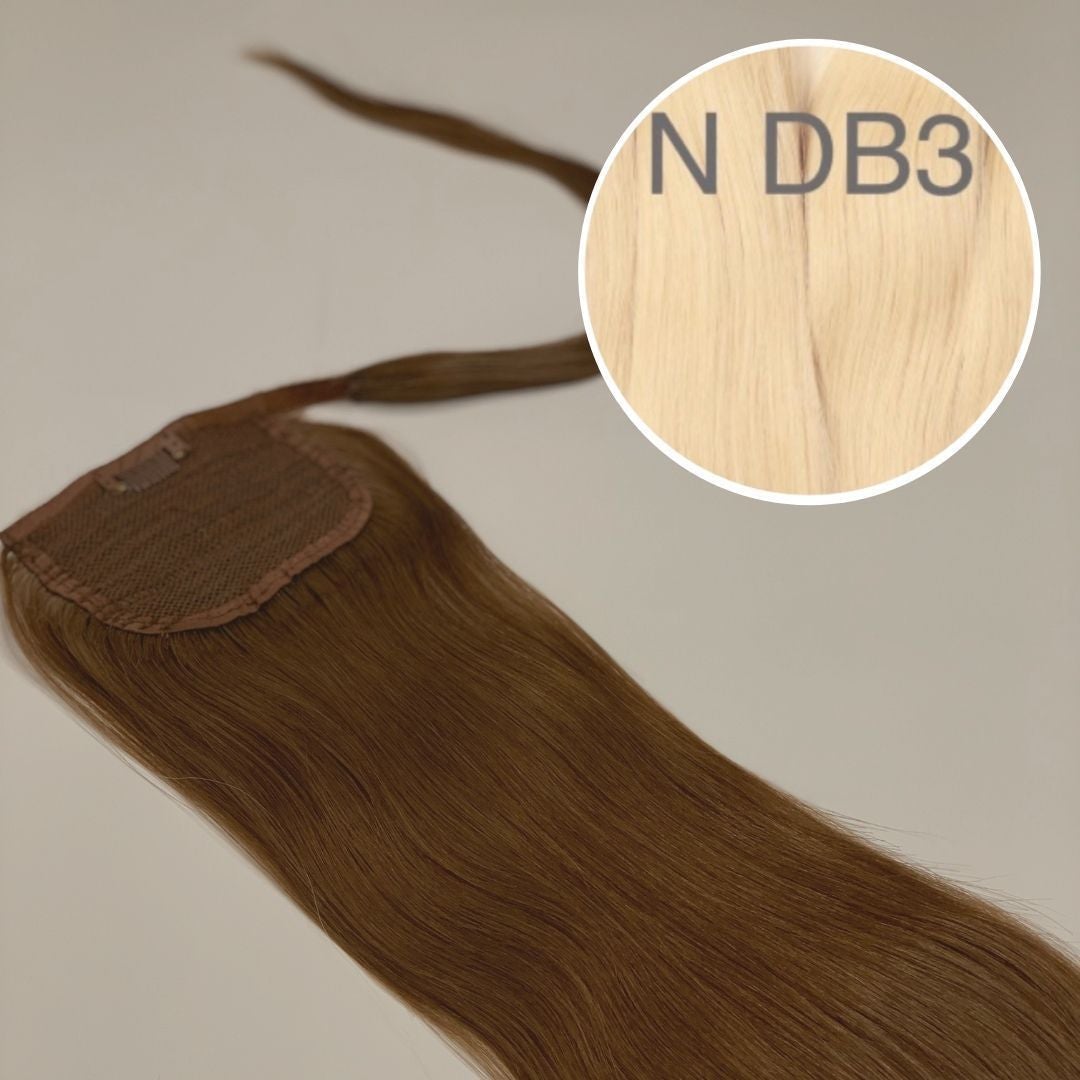 Hair Ponytail Color DB3 GVA hair_One donor line.