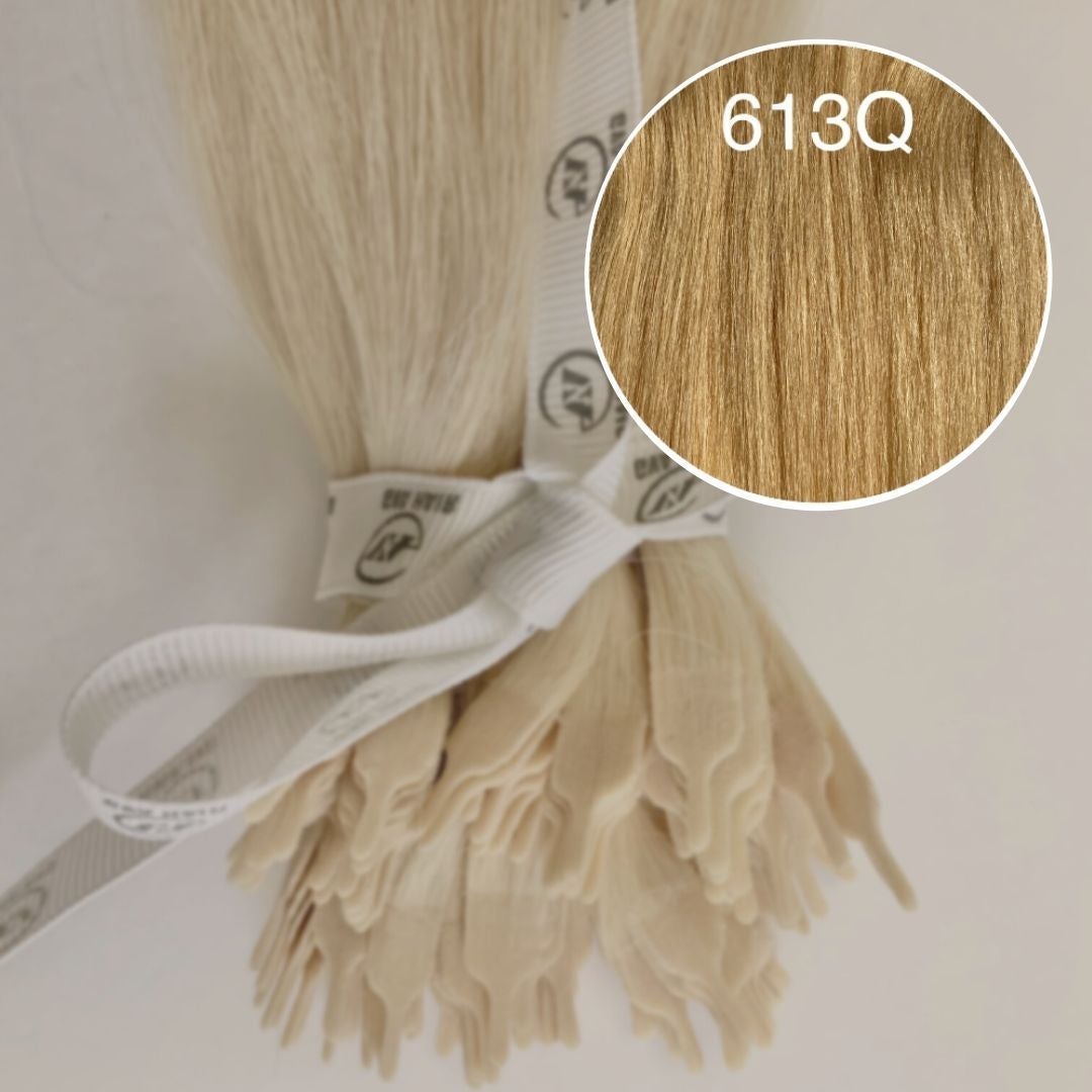 Y tips Color 613Q GVA hair_Luxury line.