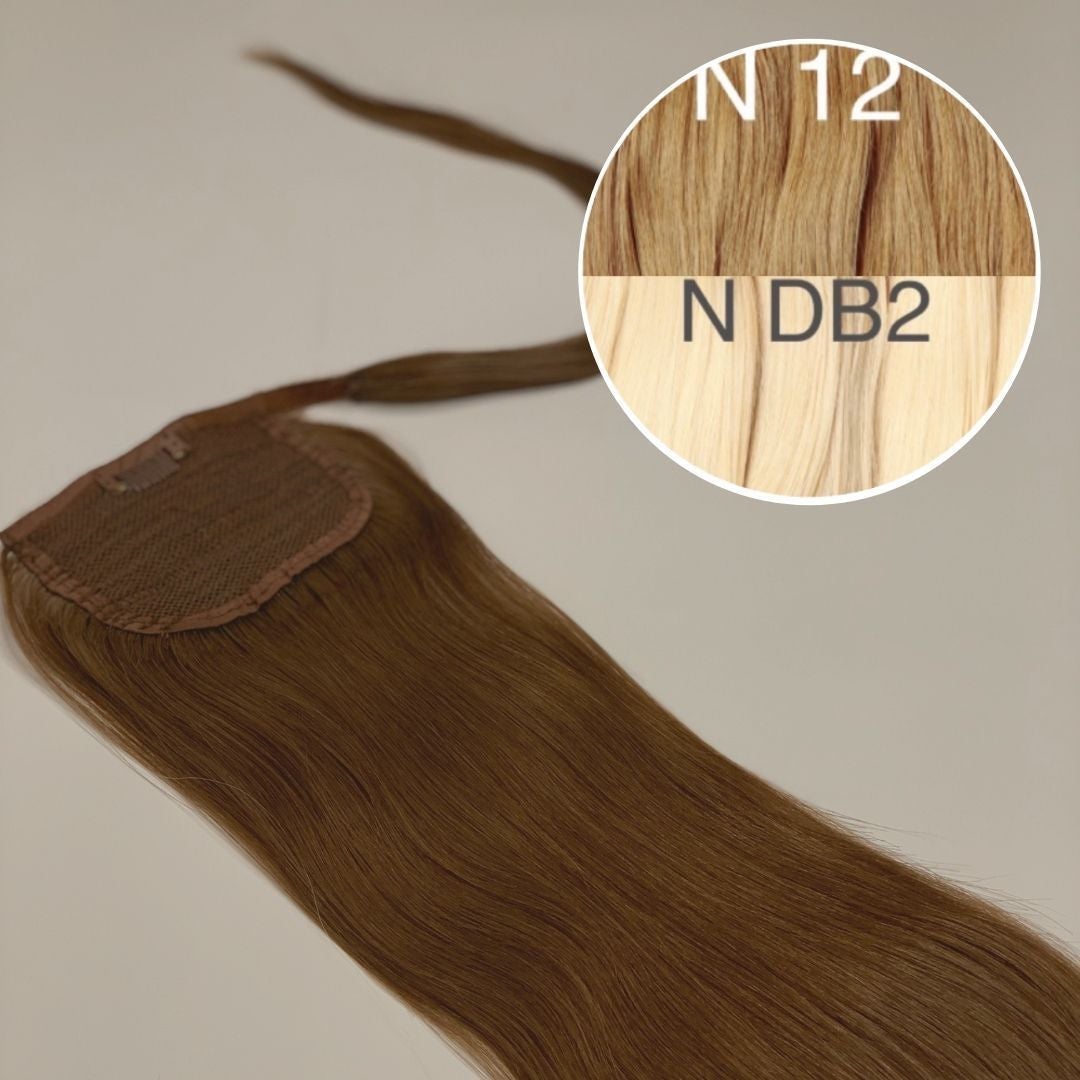 Hair Ponytail Color _12/DB2 GVA hair_One donor line.