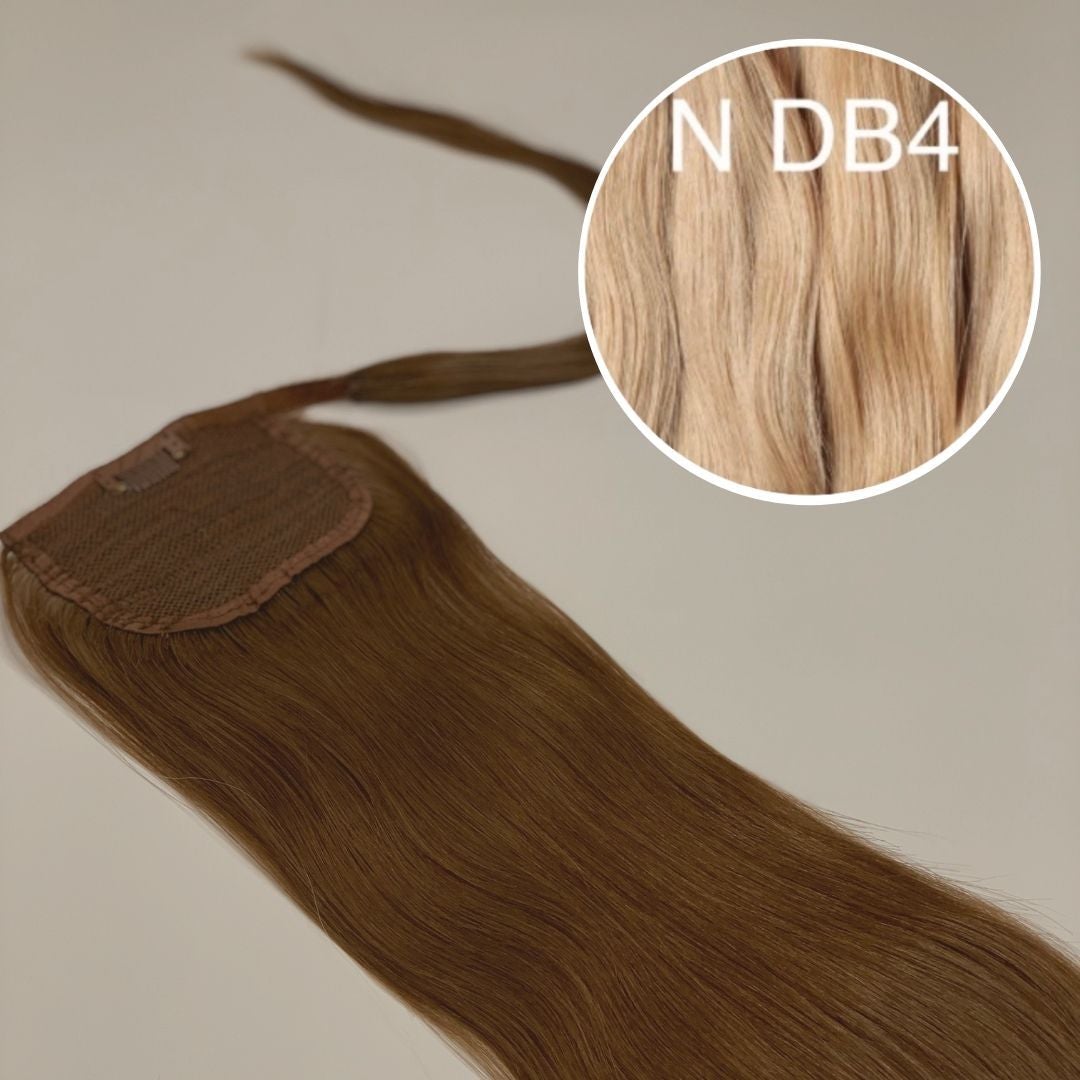 Hair Ponytail Color DB4 GVA hair_One donor line.