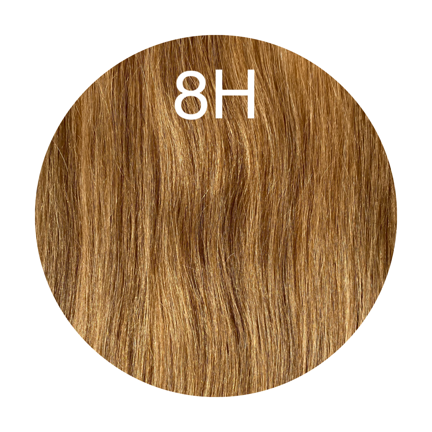 Wigs Color 8H GVA hair_Luxury line.