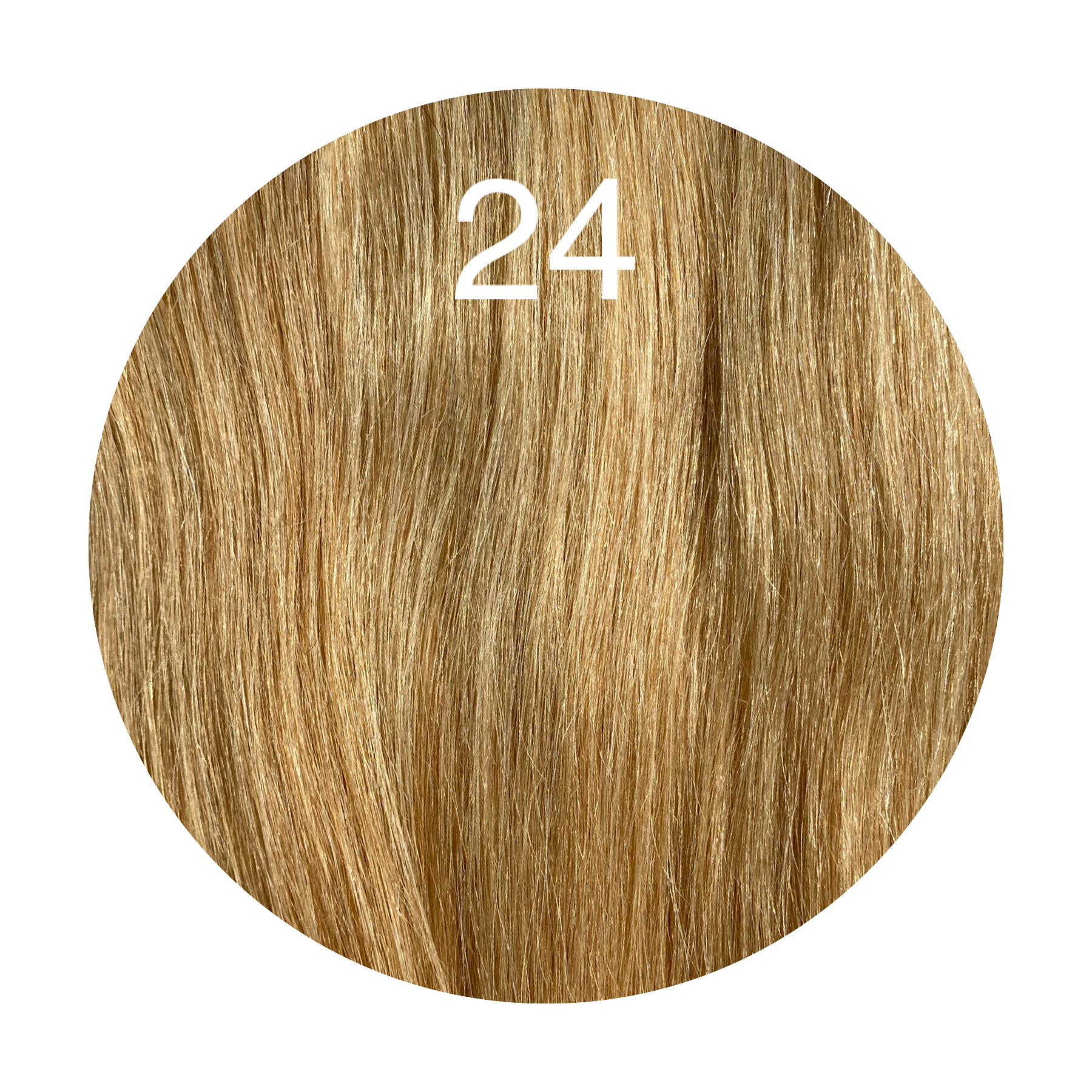 Y tips Color 24 GVA hair_Luxury line.