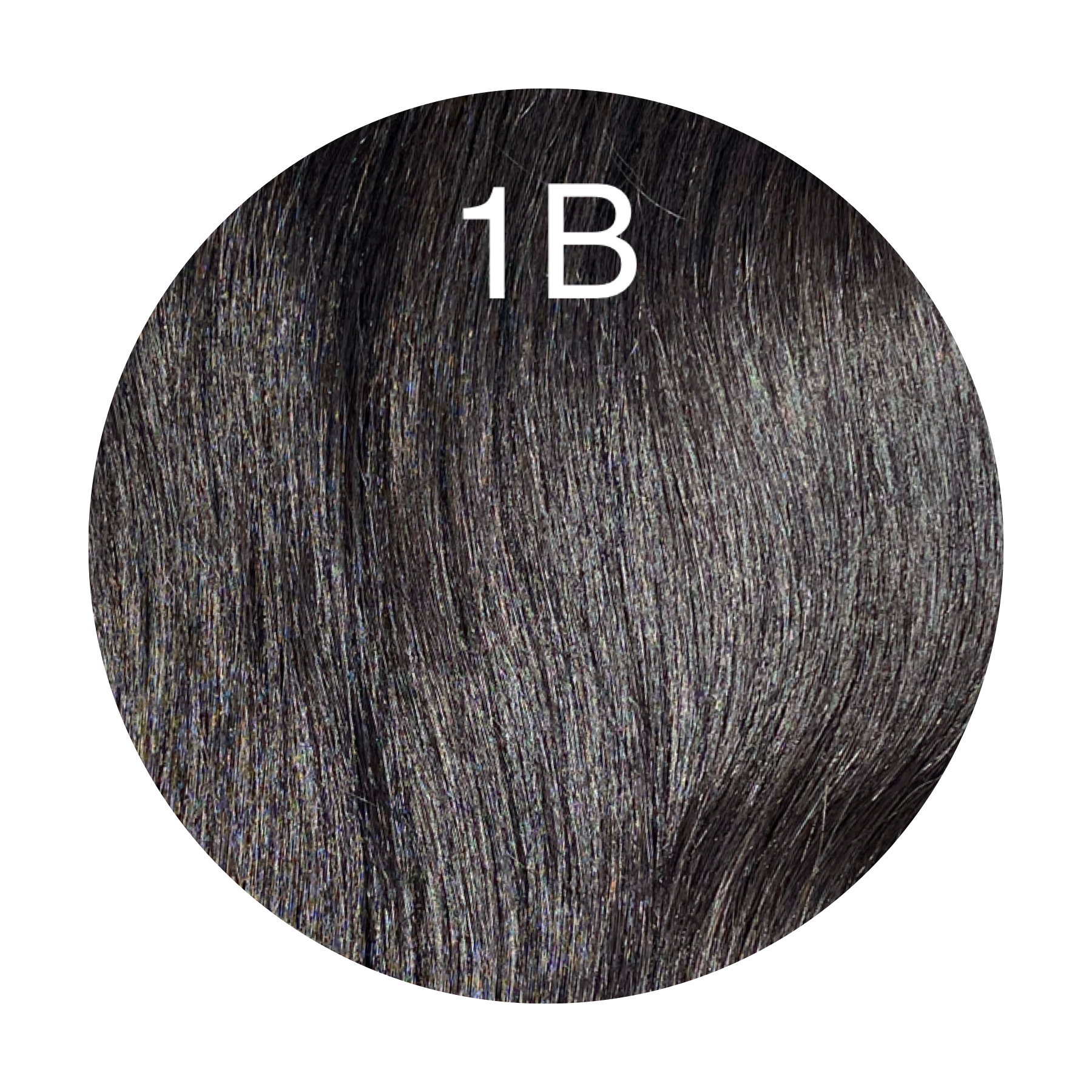 Y tips Color 1B GVA hair_Luxury line.