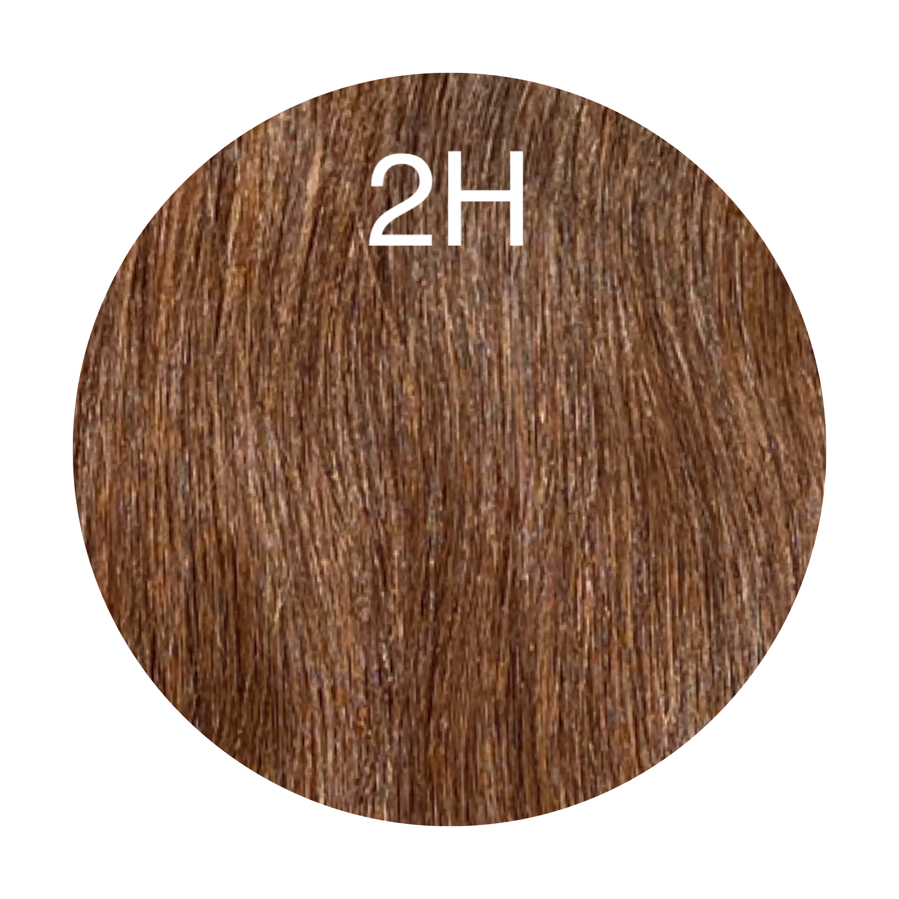 Raw Cut / Bulk Hair Color 2H GVA hair_Luxury line.