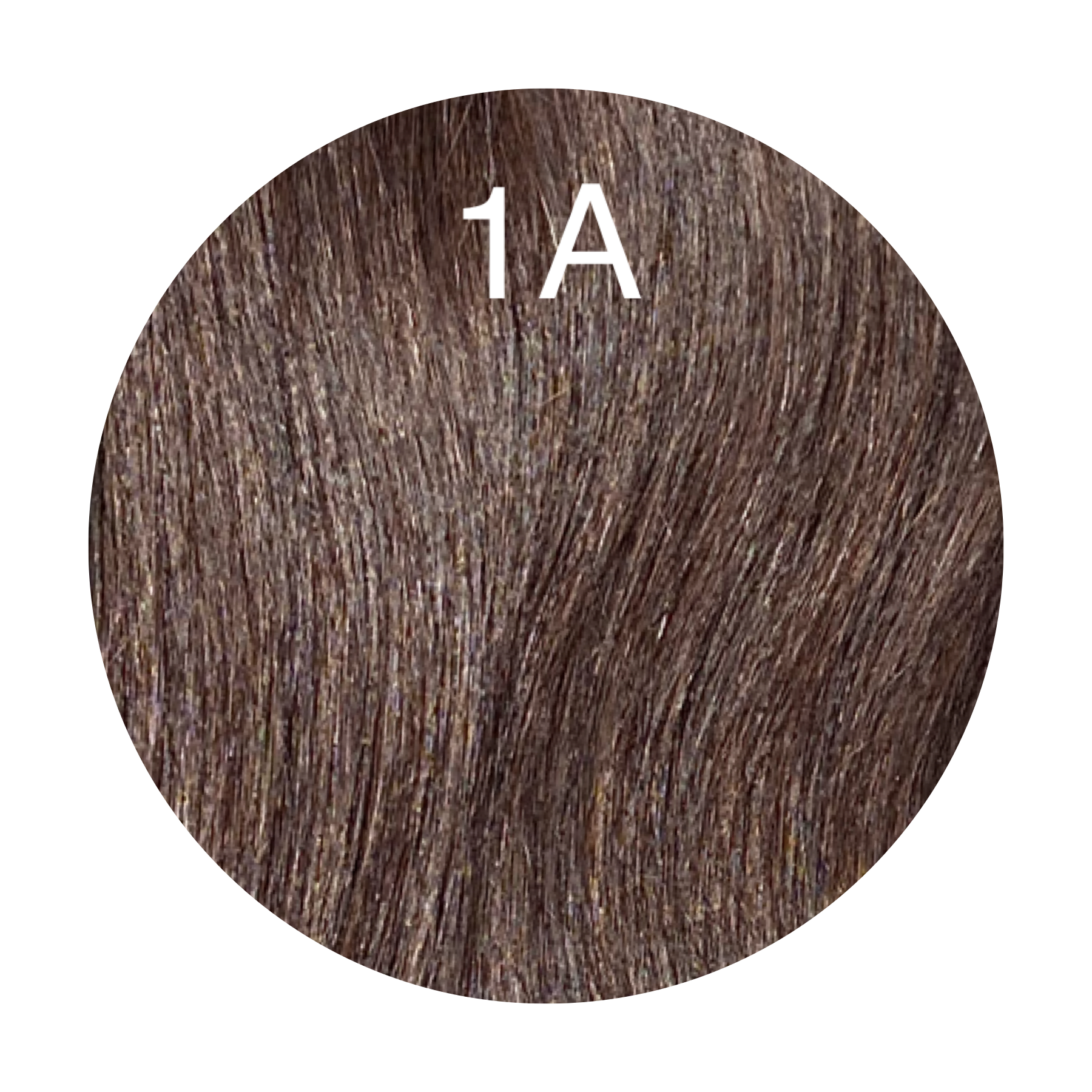 Hot Fusion, Flat Tip Color 1A GVA hair_Luxury line.