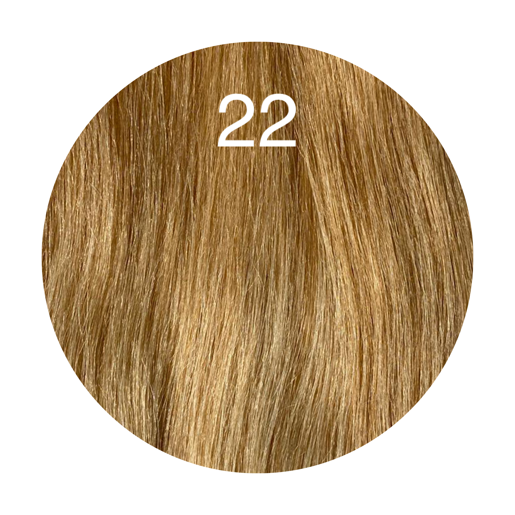 Y tips Color 22 GVA hair_Luxury line.