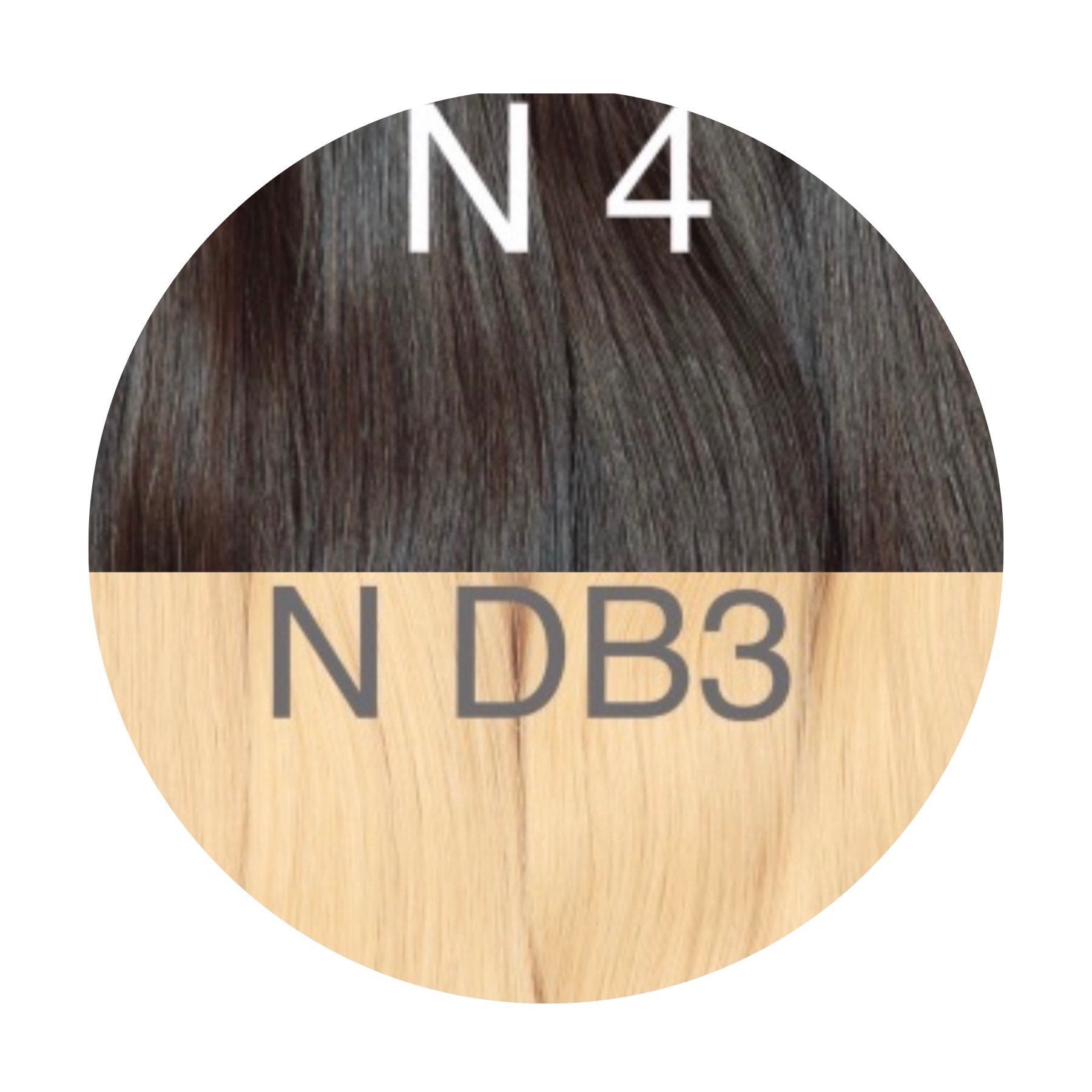 Hair Ponytail Color _4/DB3 GVA hair_One donor line.