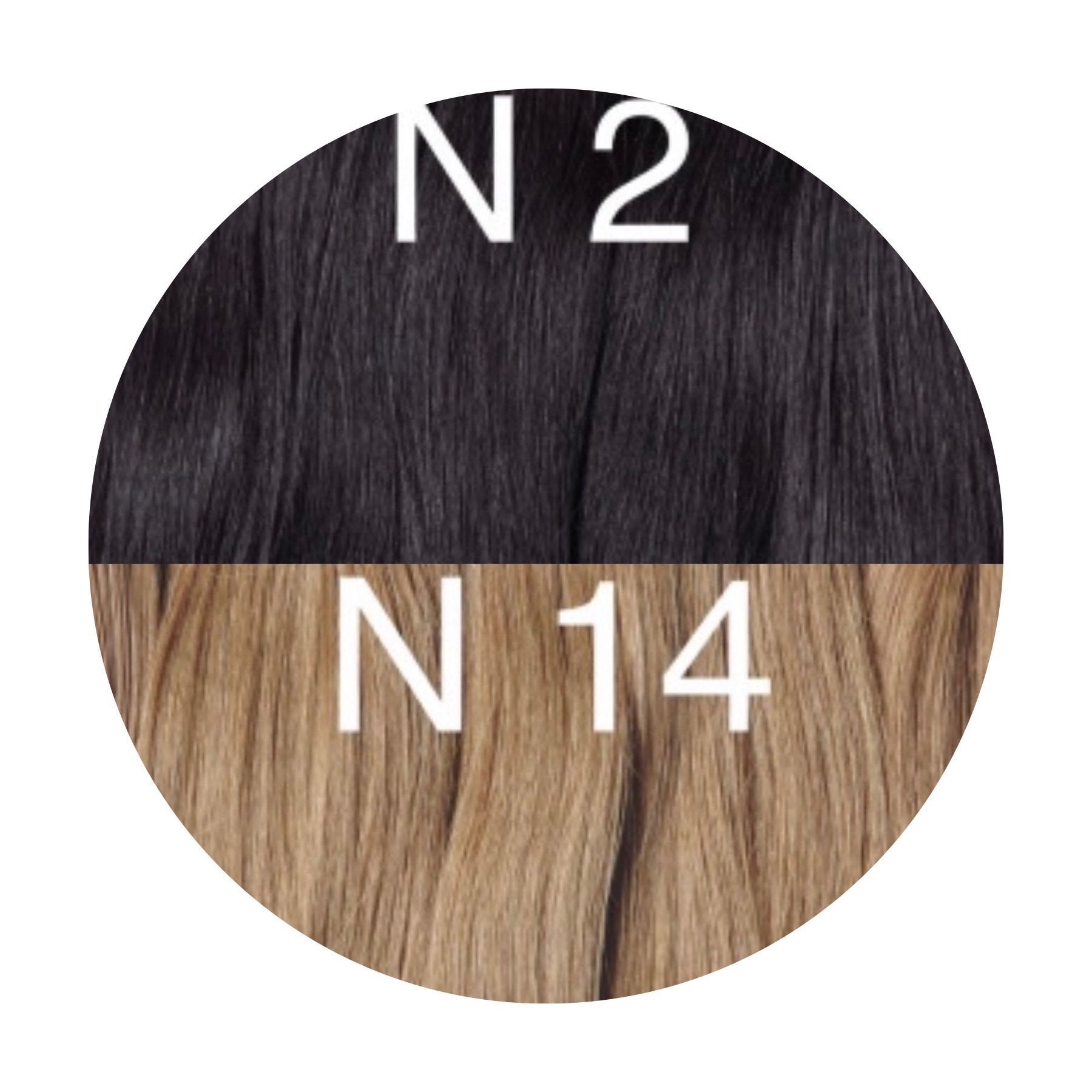 Hot Fusion, Flat Tip Color _2/14 GVA hair_One donor line.