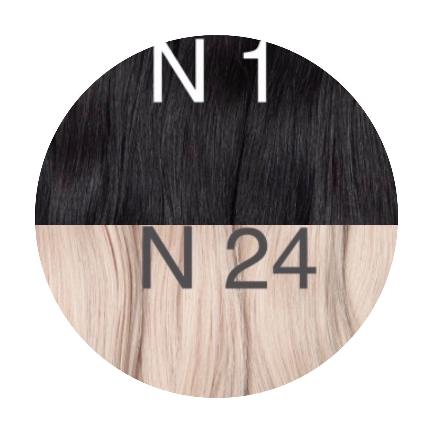 Raw Cut / Bulk Hair Color _1/24 GVA hair_One donor line.