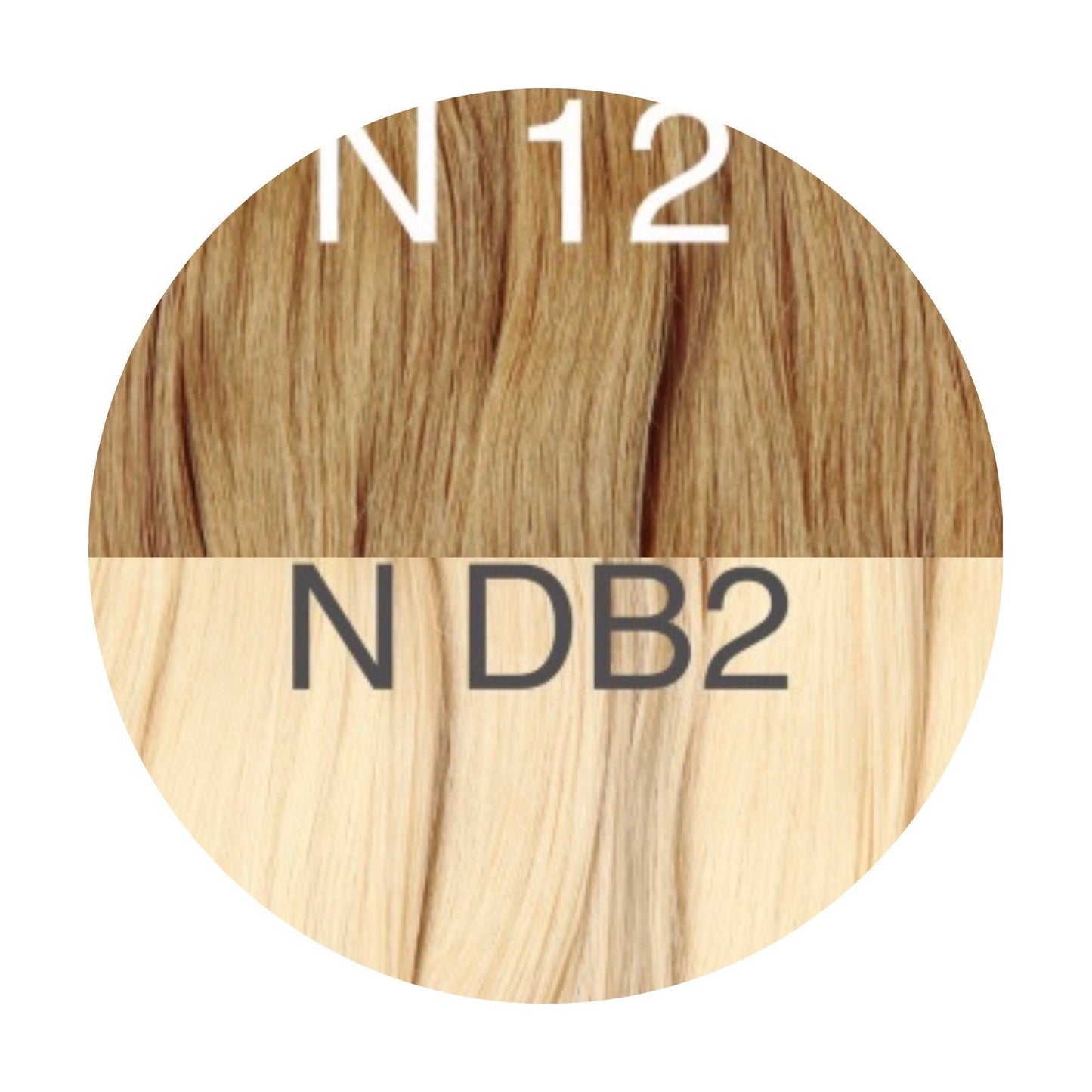 Raw Cut / Bulk Hair Color _12/DB2 GVA hair_One donor line.