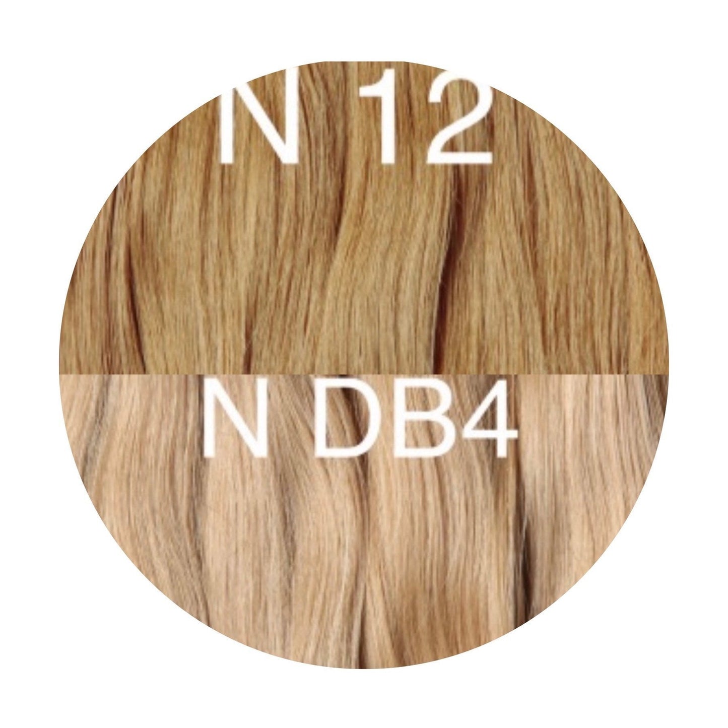 Raw Cut / Bulk Hair Color _12/DB4 GVA hair_One donor line.