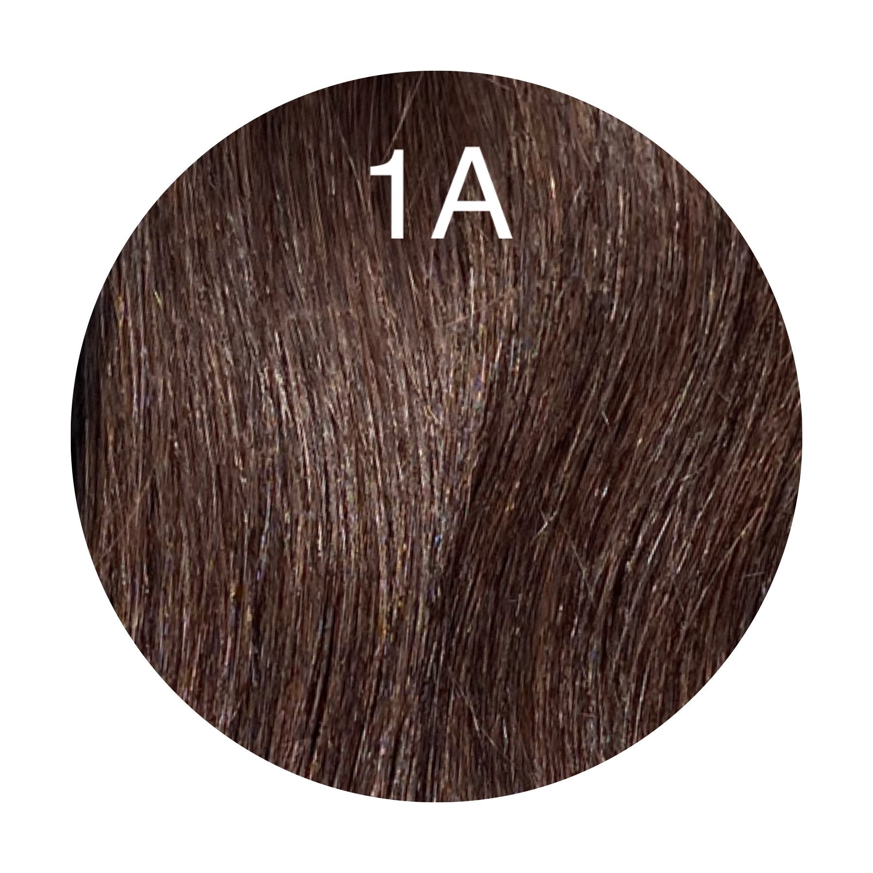Raw Cut / Bulk Hair Color 1A GVA hair_Luxury line.