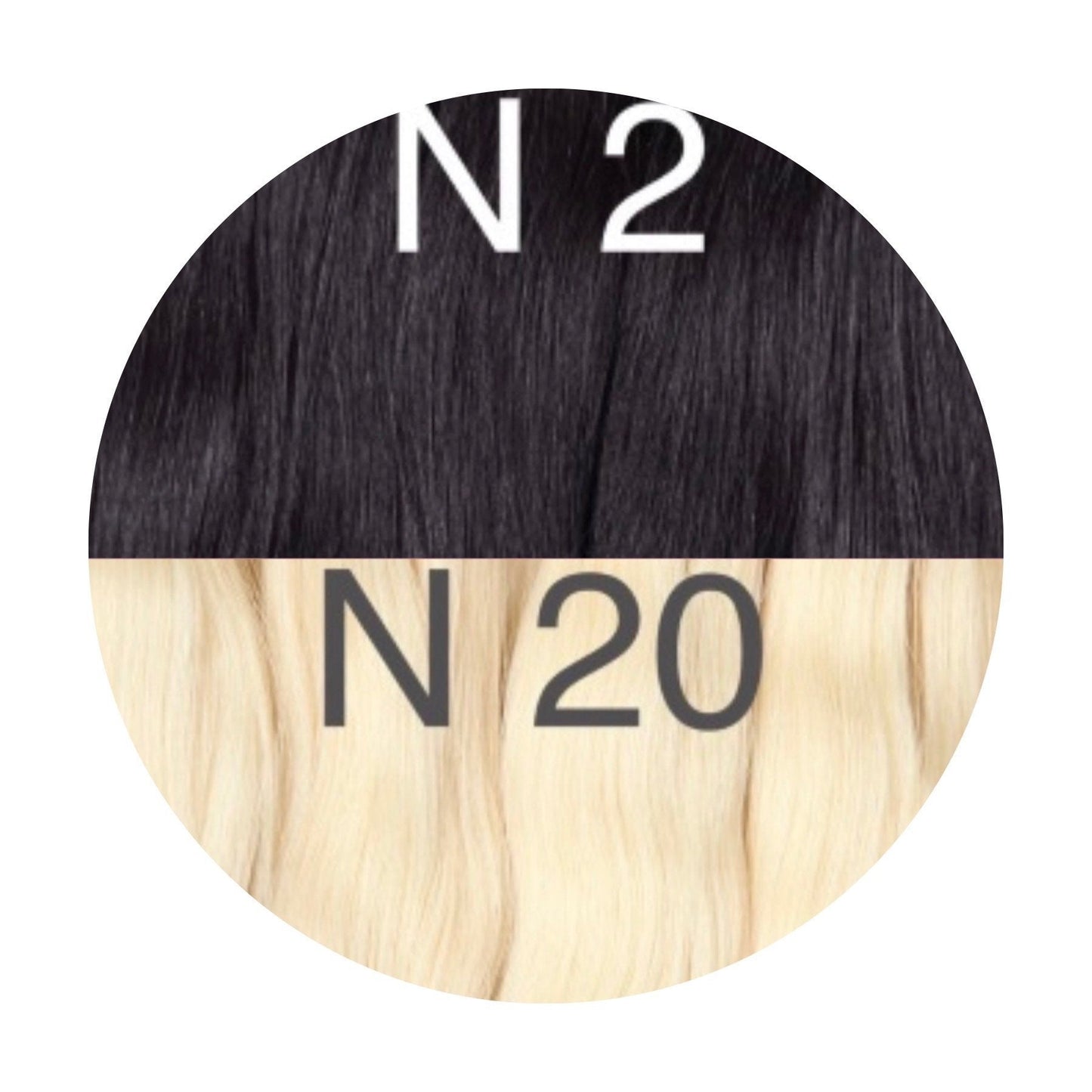 Raw Cut / Bulk Hair Color _2/20 GVA hair_One donor line.