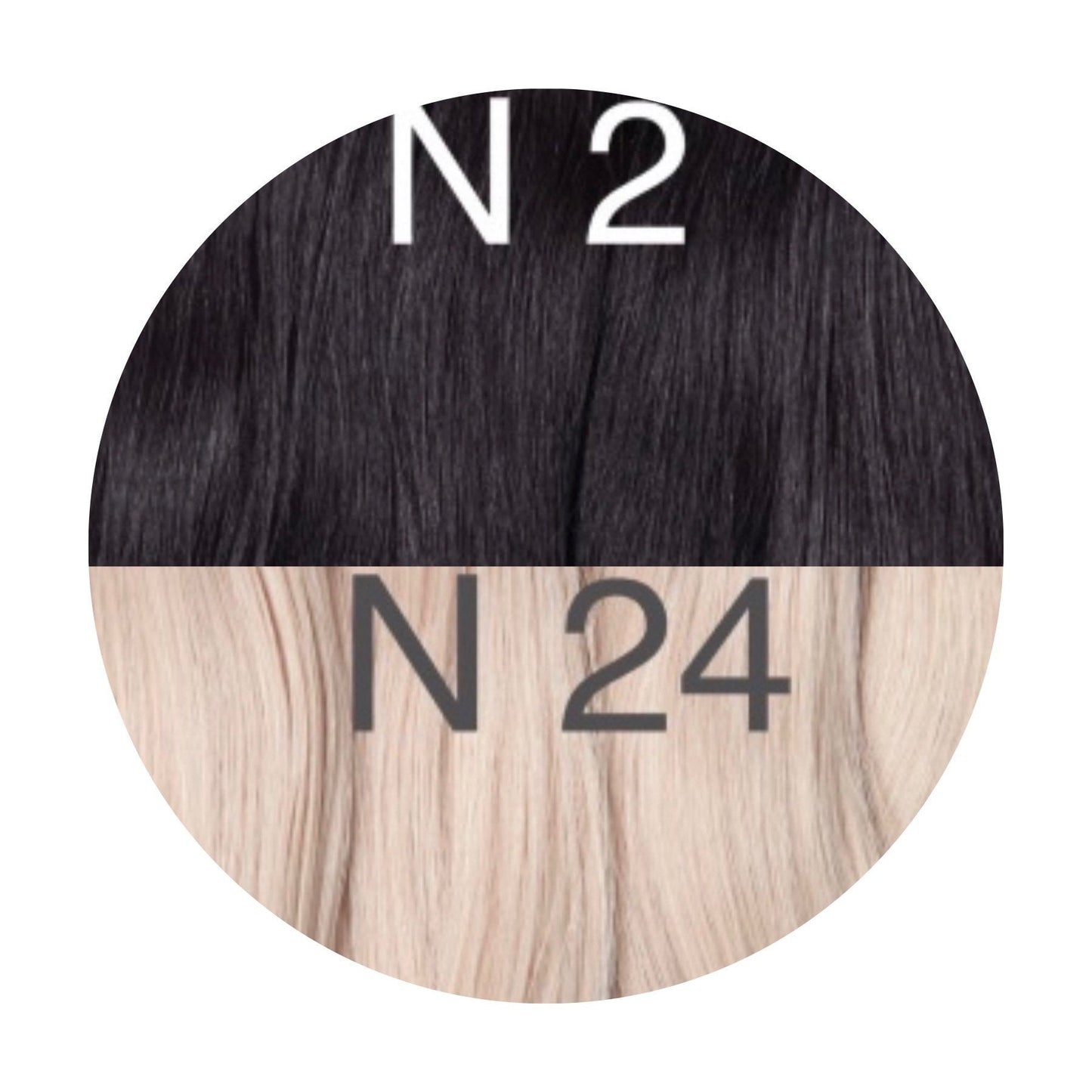 Raw Cut / Bulk Hair Color _2/24 GVA hair_One donor line.
