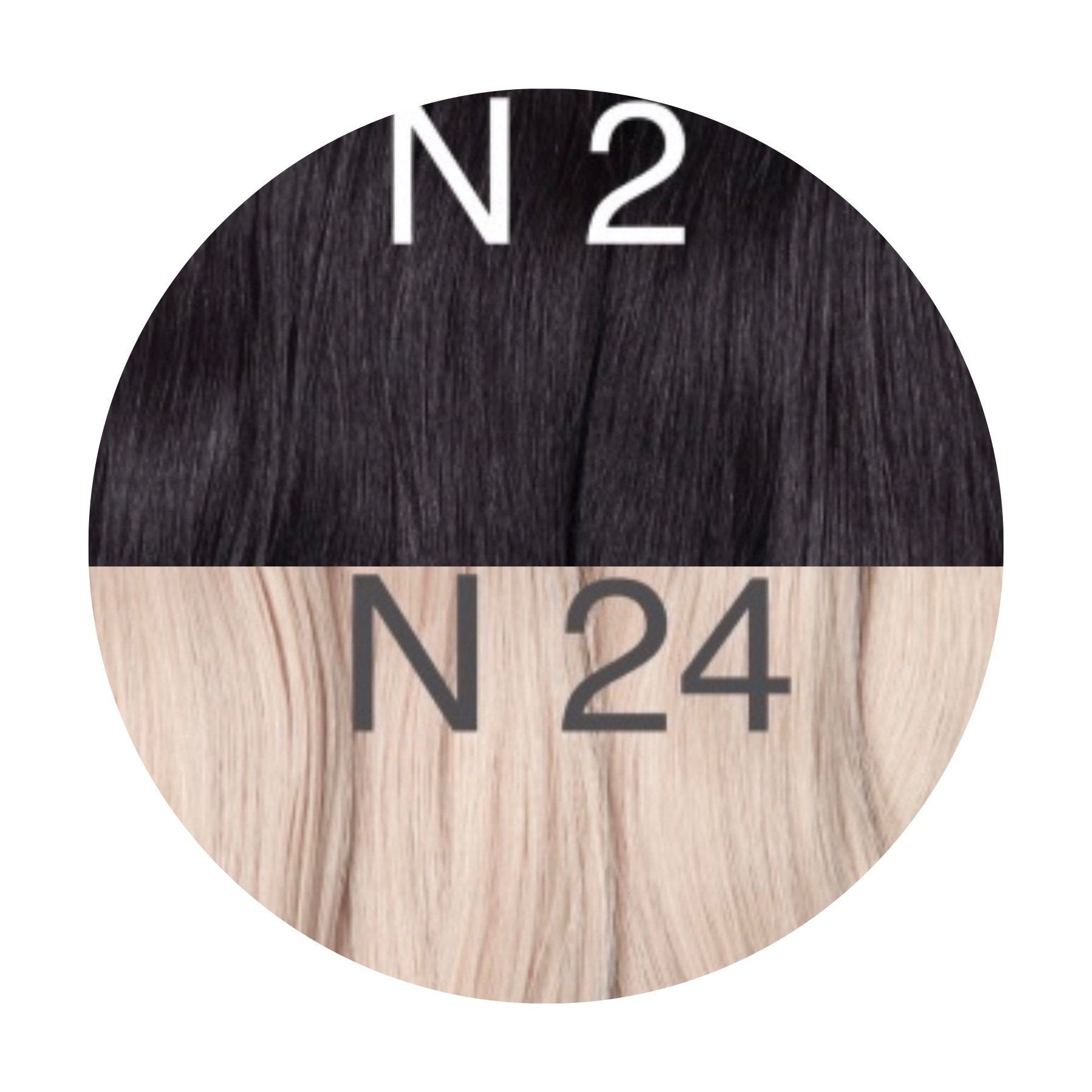 Raw Cut / Bulk Hair Color _2/24 GVA hair_One donor line.