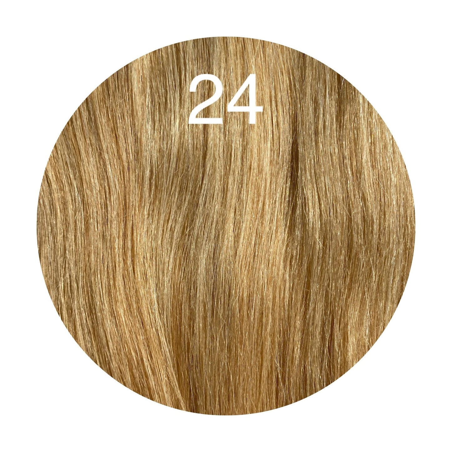 Raw Cut / Bulk Hair Color 24 GVA hair_Luxury line.