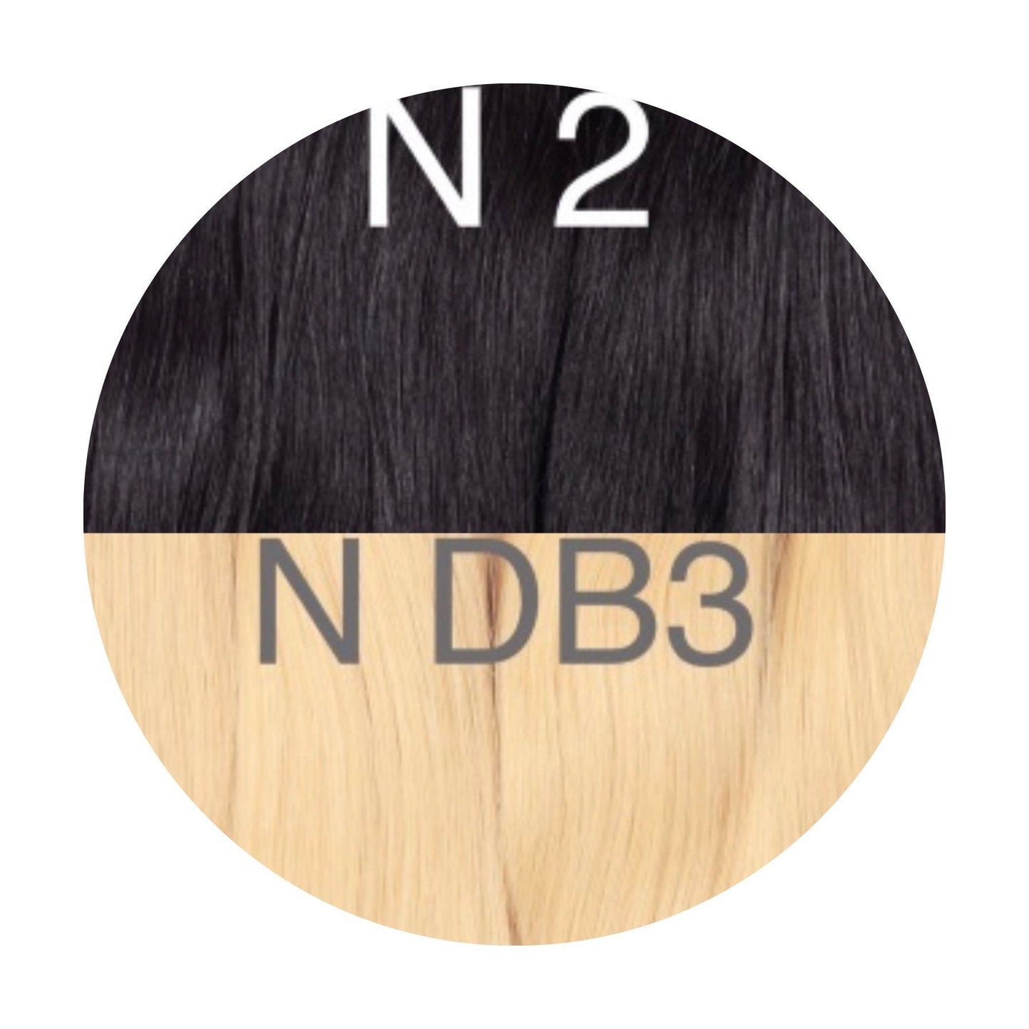 Raw Cut / Bulk Hair Color _2/DB3 GVA hair_One donor line.