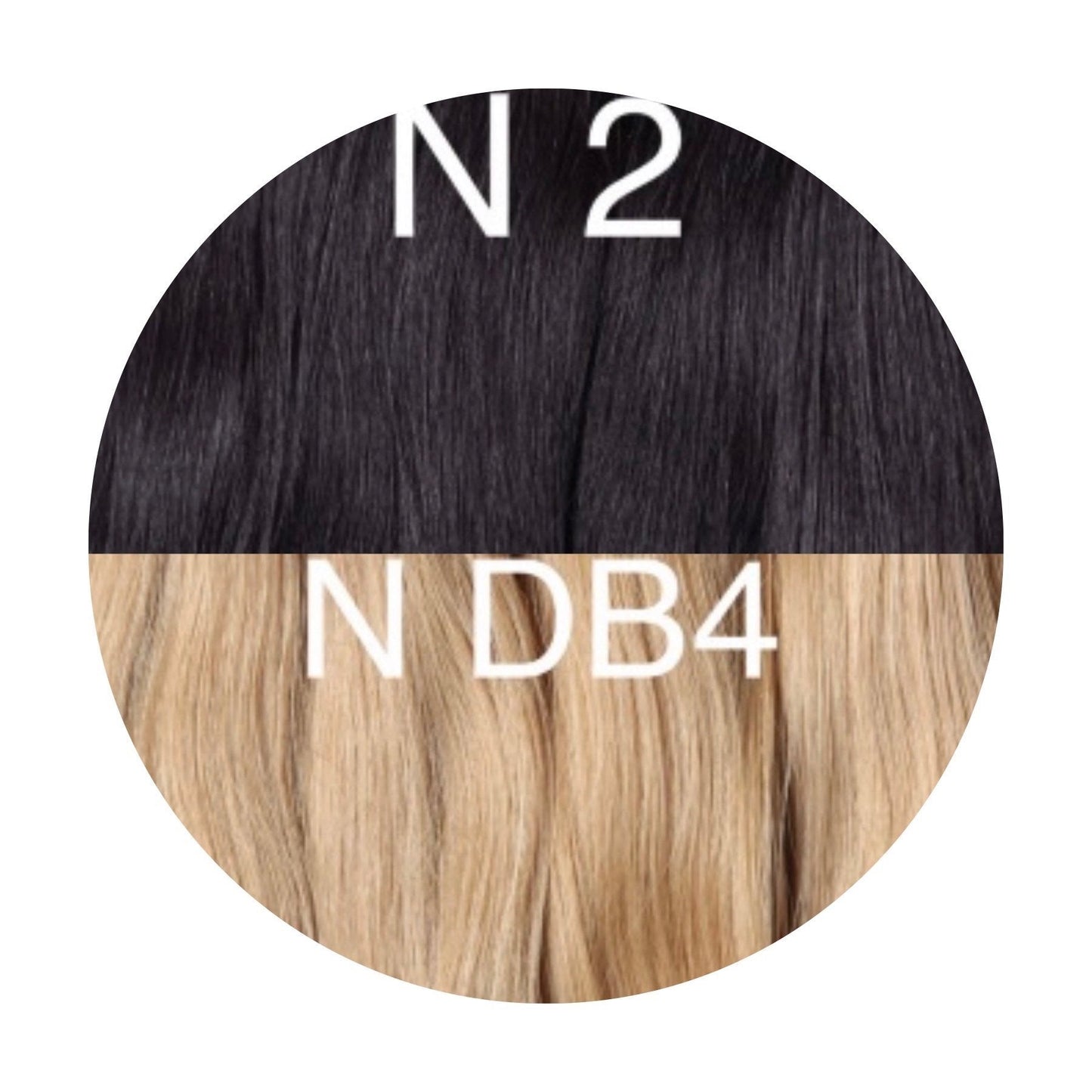 Raw Cut / Bulk Hair Color _2/DB4 GVA hair_One donor line.