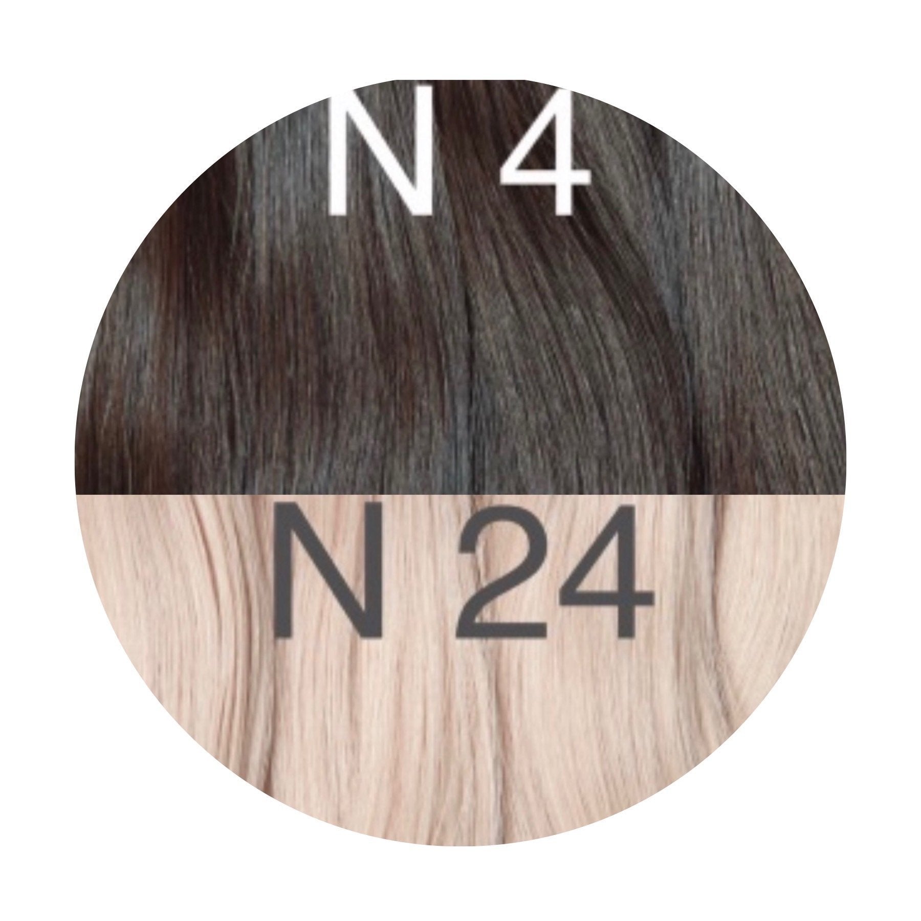 Raw Cut / Bulk Hair Color _4/24 GVA hair_One donor line.