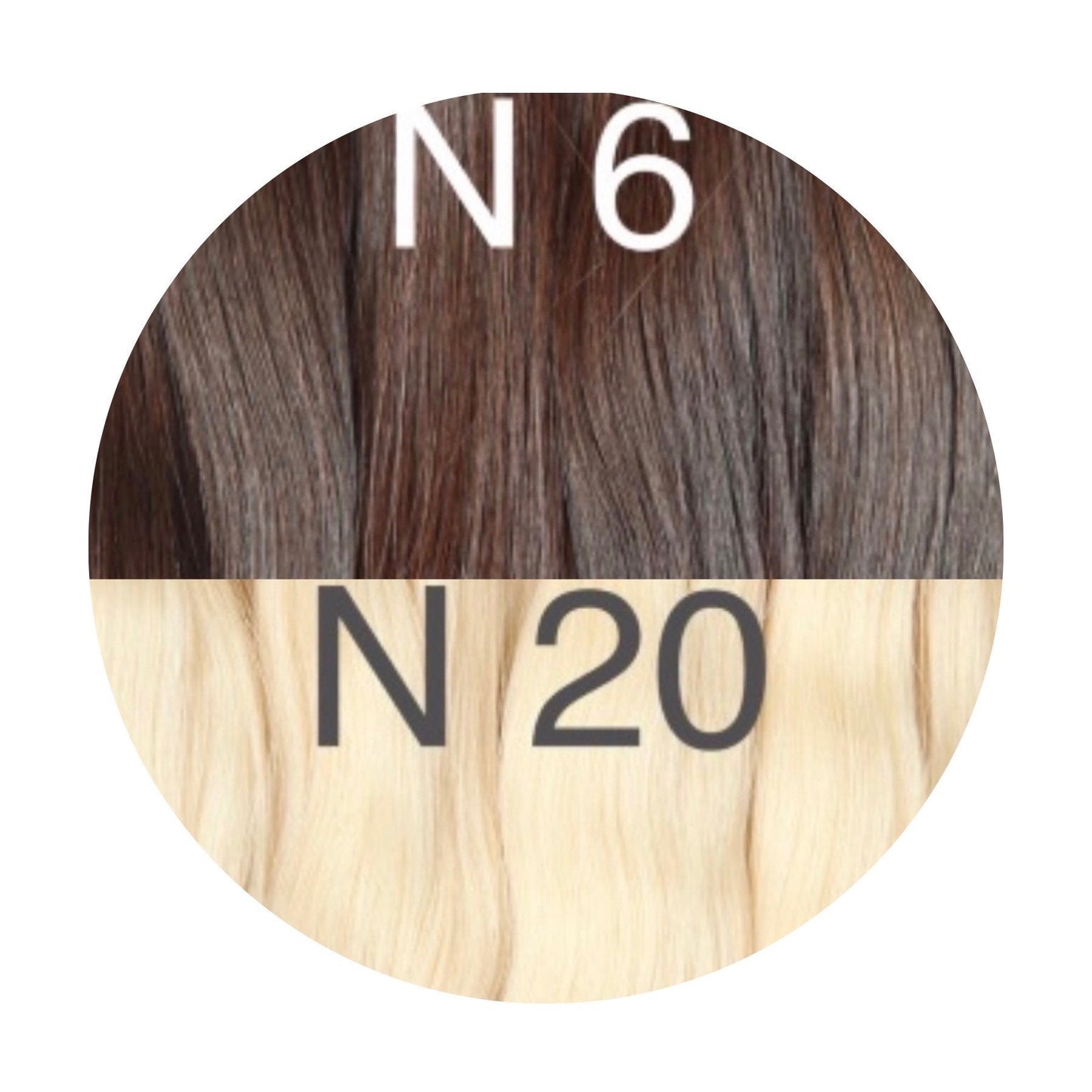 Raw Cut / Bulk Hair Color _6/20 GVA hair_One donor line.