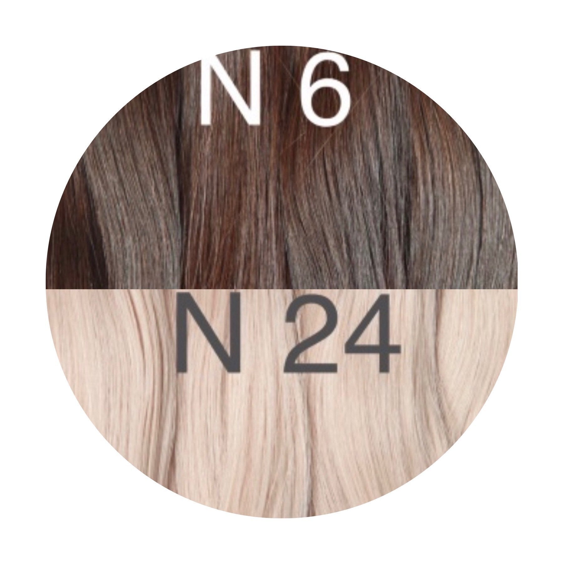 Raw Cut / Bulk Hair Color _6/24 GVA hair_One donor line.
