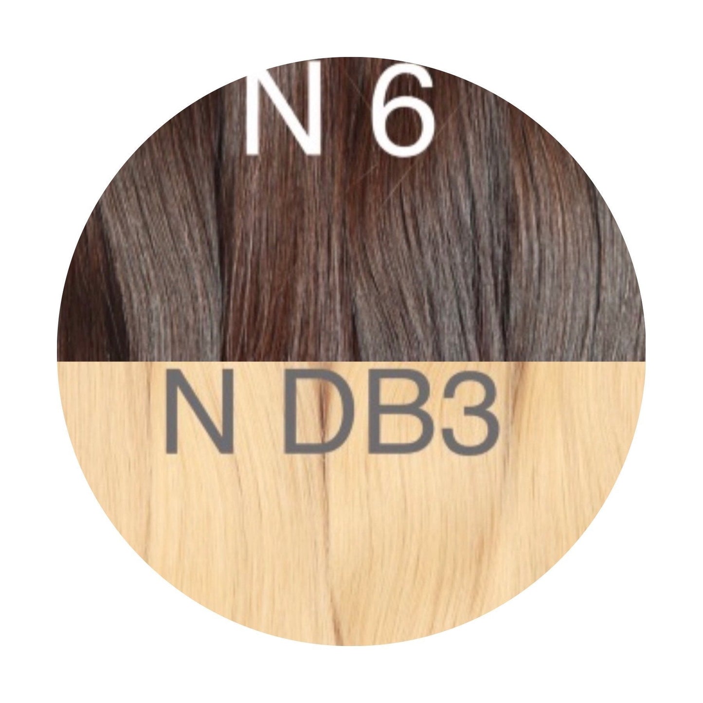Raw Cut / Bulk Hair Color _6/DB3 GVA hair_One donor line.