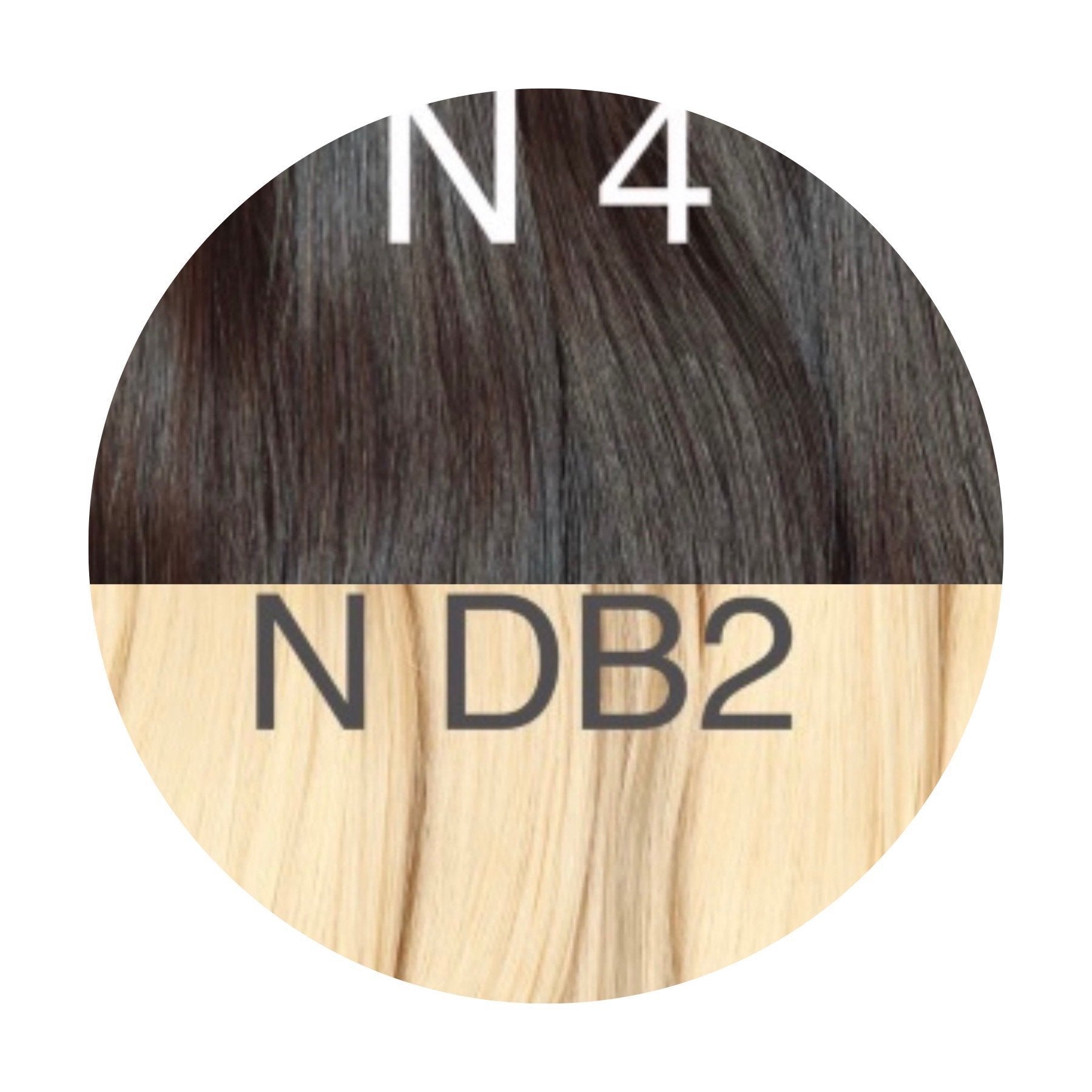 Tapes 1" Tapes 0.5" Color _4/DB2 GVA hair_One donor line.