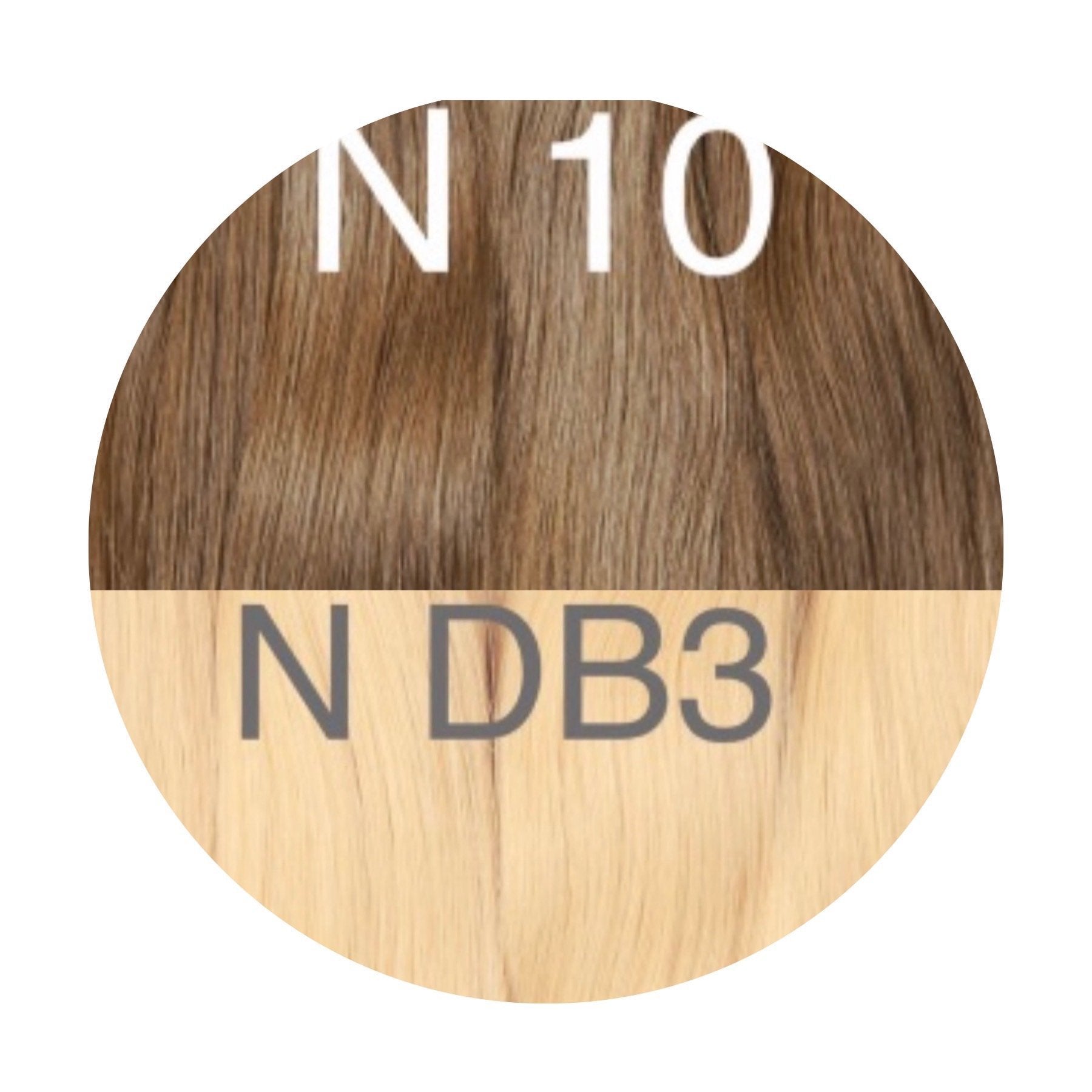 Wigs Color _10/DB3 GVA hair_One donor line.