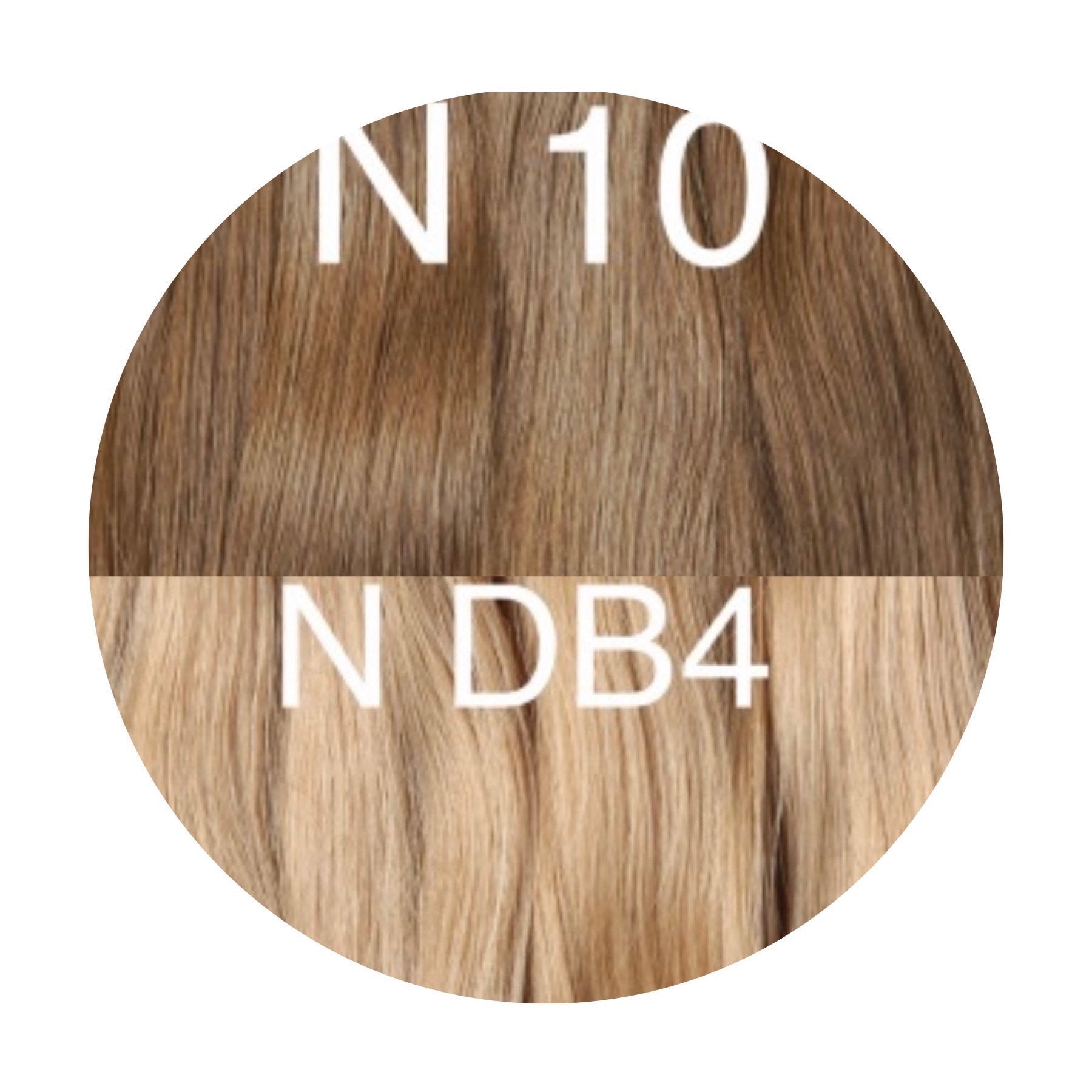 Wigs Color _10/DB4 GVA hair_One donor line.