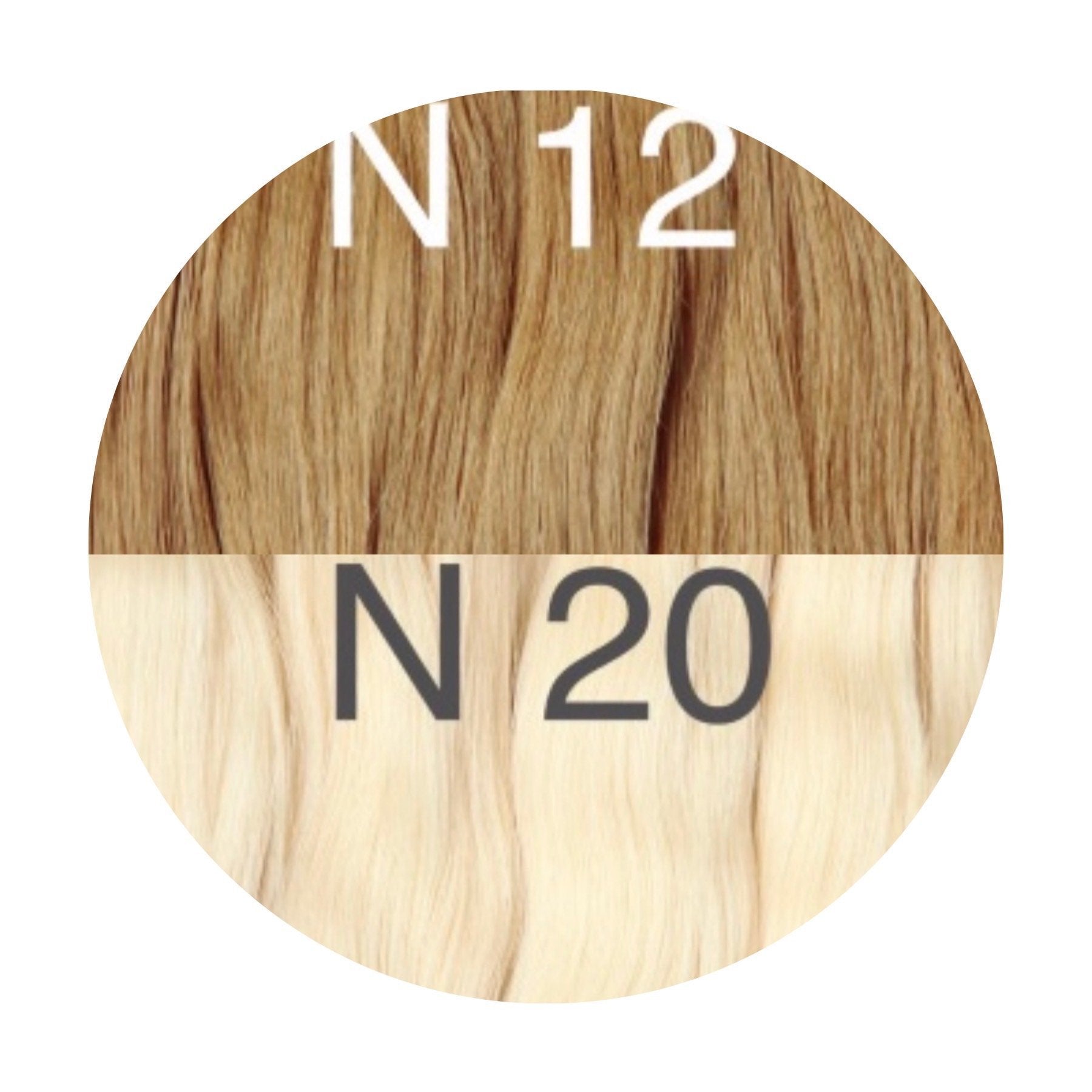 Wigs Color _12/20 GVA hair_One donor line.
