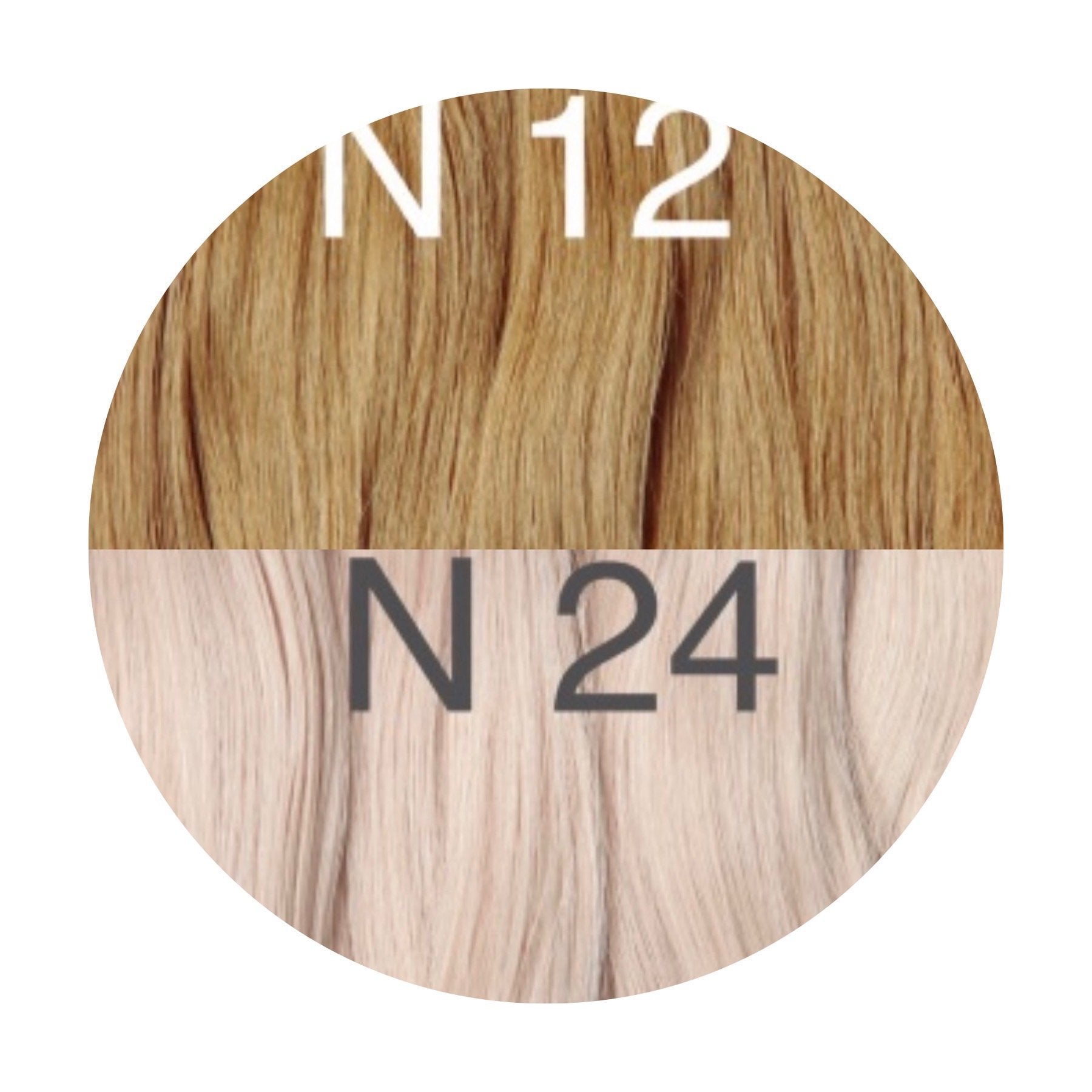 Wigs Color _12/24 GVA hair_One donor line.